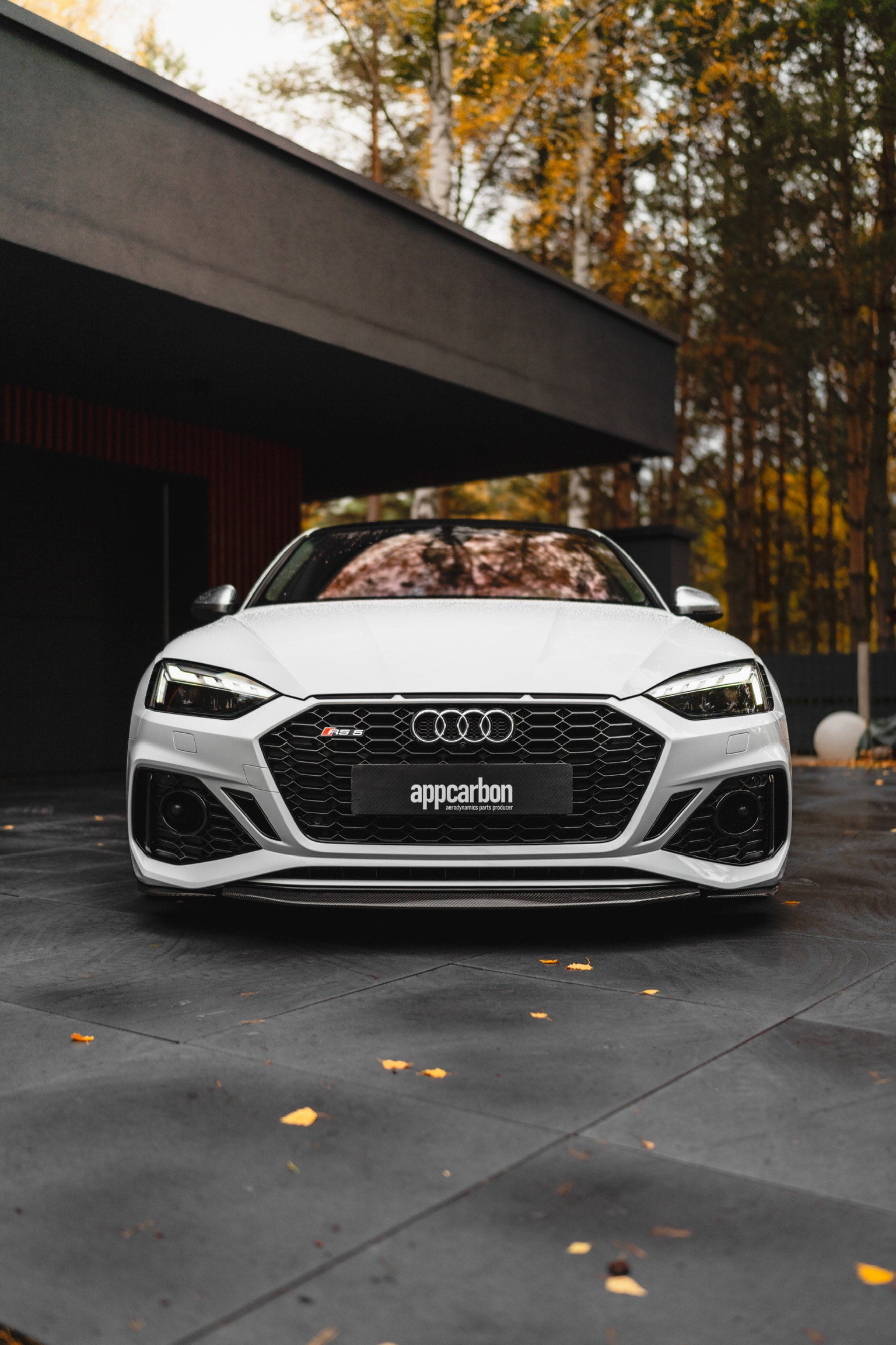 APP AUDI RS5 B9 FRONT LIP